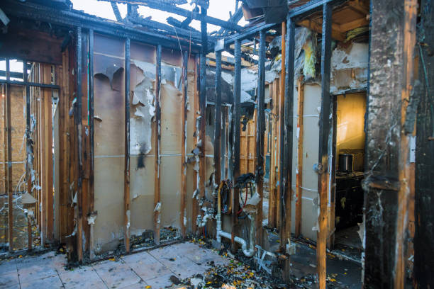Professional Fire Damage Removal technician working in Marine On Saint Croix, MN